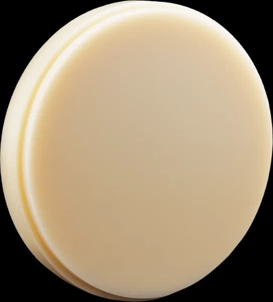 PoliDent PMMA Multilayer Disc